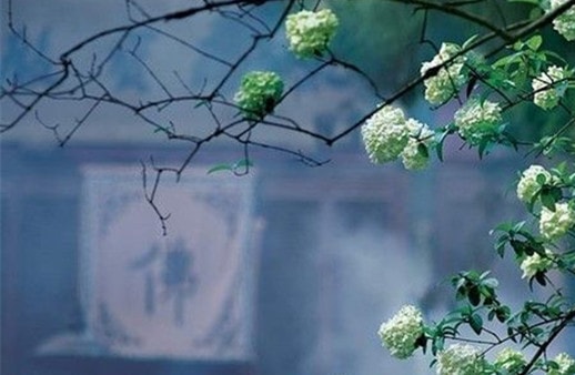 SEO優(yōu)化崗位要求_SEO優(yōu)化-常見問題-四川成都小程序及網(wǎng)站建設(shè)與設(shè)計制作_微信公眾號開發(fā)_專業(yè)網(wǎng)絡(luò)seo優(yōu)化推廣營銷公司